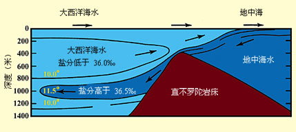 ͼ 13  �������˴��Ŵ�