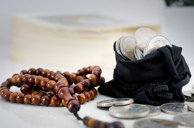 追求合法佳美的給養