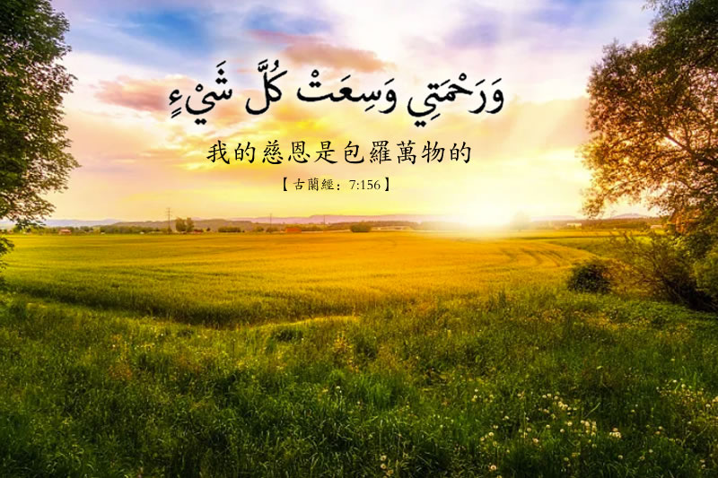 真主在萊麥丹齋月的恩慈