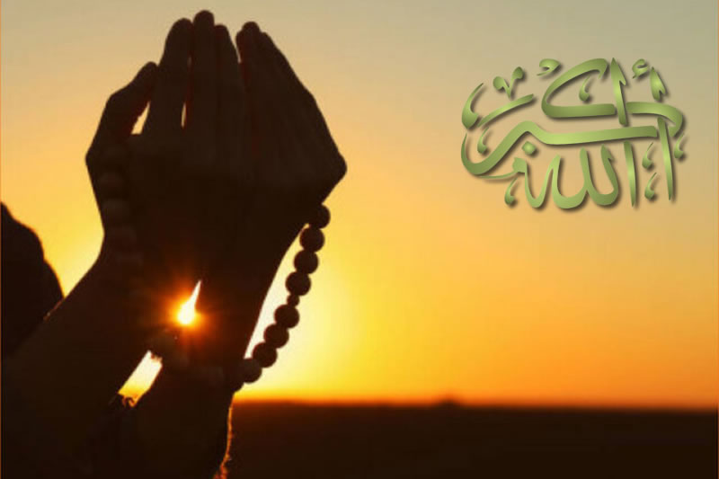 順應天性：以菲特拉之光活出真我