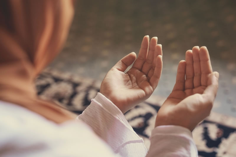 選擇欲望，還是遵循真主的智慧？