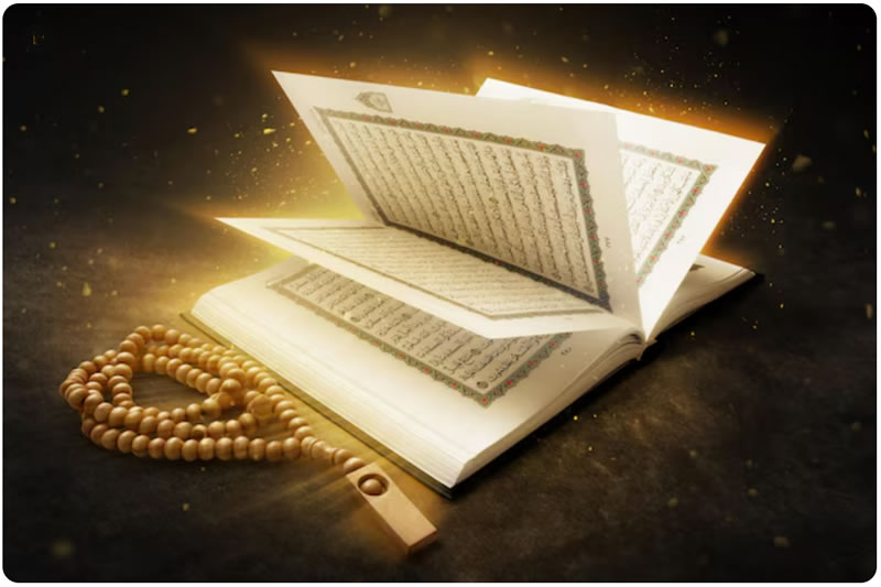 古蘭經哪裡說過我不能這麼做？