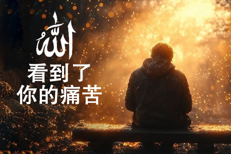 真主看到了你的痛苦，他也知道是誰傷害了你。