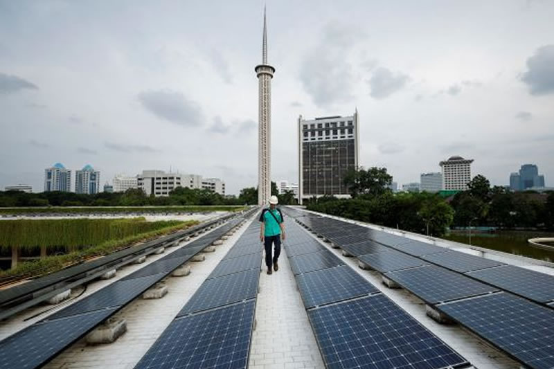 綠色信仰：穆斯林如何推動全球環保