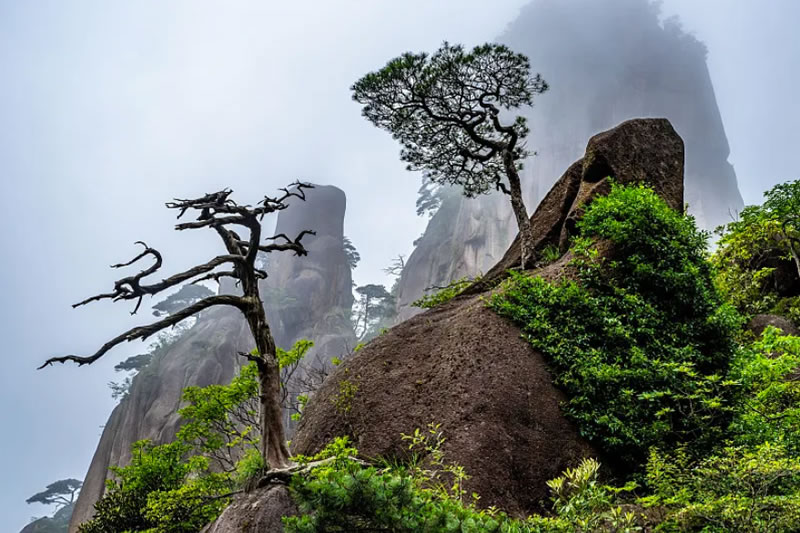 伊斯蘭教生死觀及其當代價值