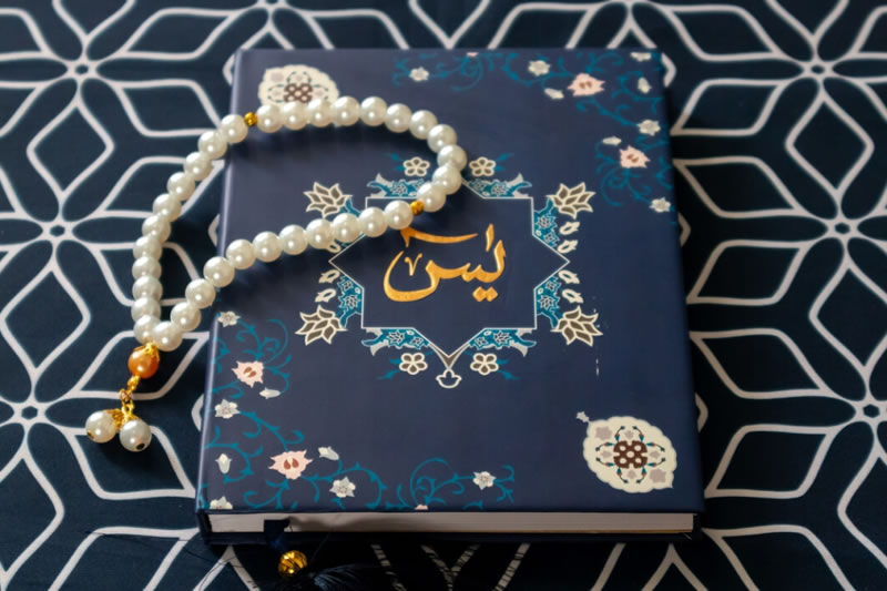 困境中的光：《雅辛》撫慰內心的傷